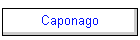 Caponago
