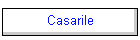 Casarile