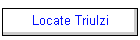 Locate Triulzi
