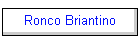 Ronco Briantino