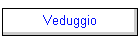 Veduggio