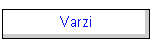 Varzi