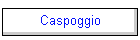 Caspoggio