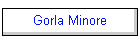 Gorla Minore