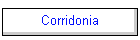 Corridonia