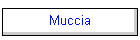 Muccia