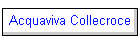 Acquaviva Collecroce