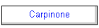Carpinone