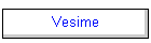 Vesime