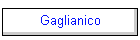 Gaglianico
