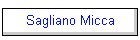 Sagliano Micca