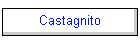 Castagnito