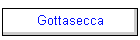 Gottasecca