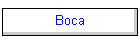 Boca