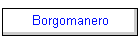 Borgomanero