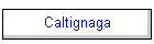 Caltignaga