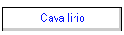 Cavallirio