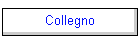 Collegno