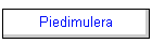 Piedimulera