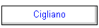 Cigliano