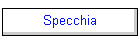 Specchia