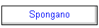 Spongano
