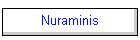 Nuraminis