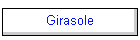 Girasole