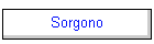 Sorgono
