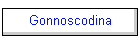 Gonnoscodina