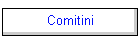 Comitini