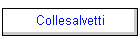 Collesalvetti