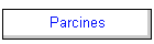 Parcines