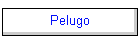 Pelugo