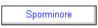 Sporminore