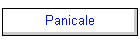 Panicale