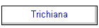 Trichiana