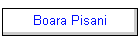 Boara Pisani