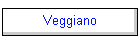 Veggiano