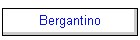 Bergantino