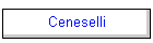 Ceneselli