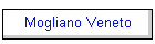 Mogliano Veneto