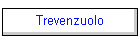 Trevenzuolo